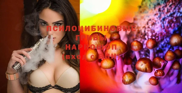 МДМА Алексеевка