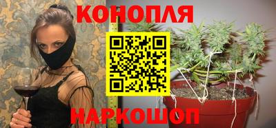 МДПВ Ачхой-Мартан