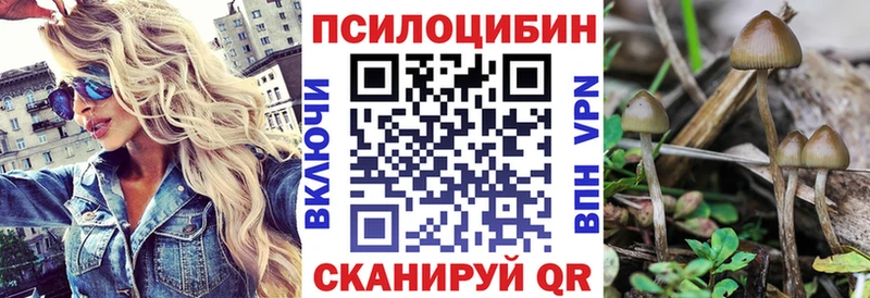 Галлюциногенные грибы Psilocybine cubensis  купить наркотик  маркетплейс как зайти  Боровичи  блэк спрут ссылка 