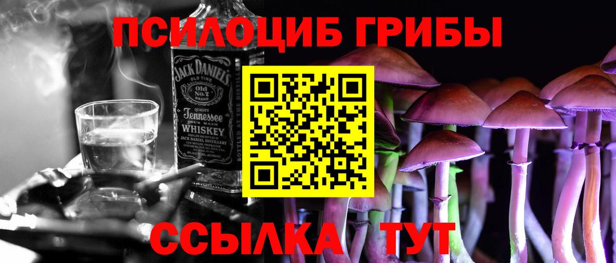 Псилоцибиновые грибы Cubensis Боровичи
